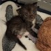 talesfromtreatment:Peppercorn&hellip;. what is that expression&hellip;.I