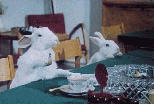 Smoking Rabbits