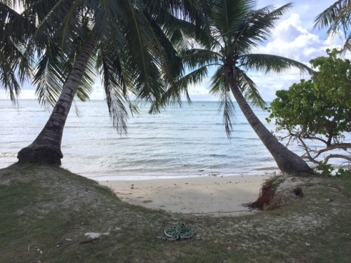 The way Micro Beach has eroded has created a series of mini beaches between the trees. It’s like hav