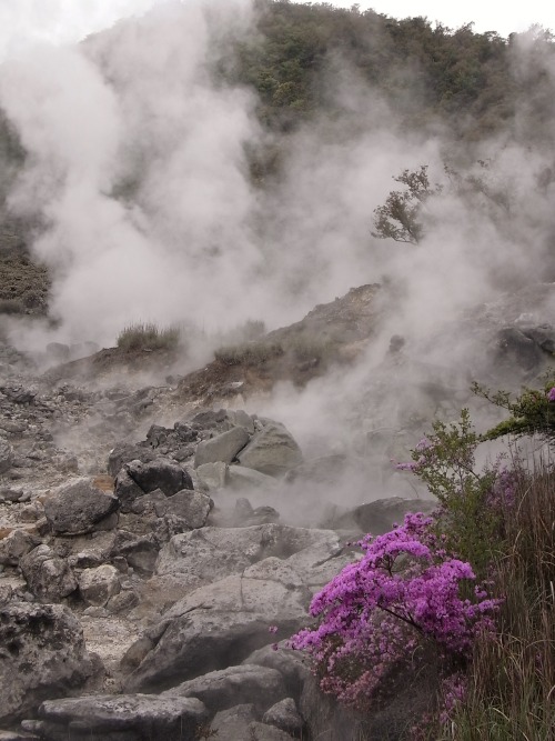 colorful4japan: A hot spring and Azalea Unzen ,Nagasaki,Japan 2011