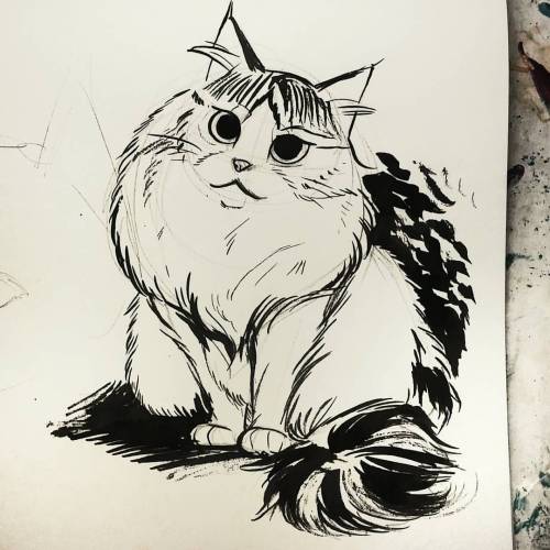 Fluffiest cat. Ragdoll. #inktober #inktober2015 #kitty #fluffycat #fluff #ragdollcat #cats #catstagr