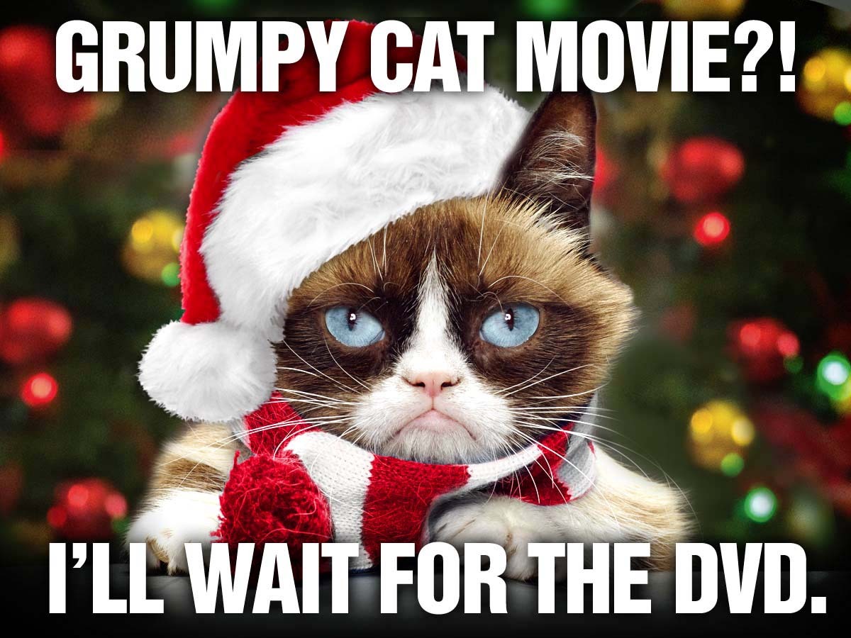 Grumpy Cat's Worst Christmas Ever is out on DVD tomorrow wherever terrible movies are sold! On Amazon here:...