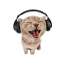 kiwheee