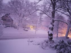 lvndscapes:  Photo taken during a lightning storm at 2am (It was pitch-black outside and lightning flashed, right as the picture was taken.) 