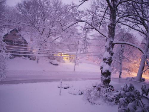 lvndscapes:  Photo taken during a lightning storm at 2am (It was pitch-black outside and lightning flashed, right as the picture was taken.)