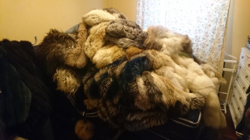 swedfur:Most of my furs and fur blankets are stored at my furrier for the summer. Today I had a real clean up in my bedroom. I notice that I still have lot of fur blankets and other fur pieces att home, and that is not all. At my balkony there is two