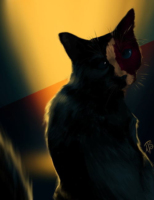 atlasshadesart:This kitty’s been following me around my dreams - last night was the second time I go