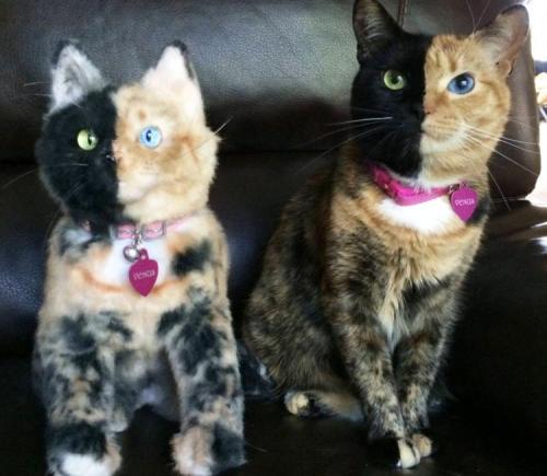 samuris: alltailnolegs: odditymall: This service called Cuddle Clones will make a stuffed animal ver