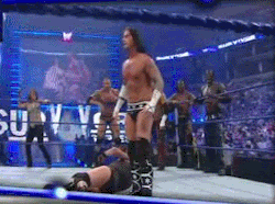 wrestlingoutofcontext:  If you can dodge