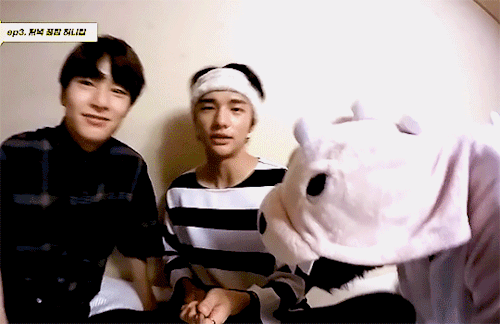 S. Changbinsauras- A Newly Discovered Species