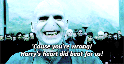 oscarscasillas-blog:  It doesn’t matter that Harry’s gone.  Stand down Neville! 