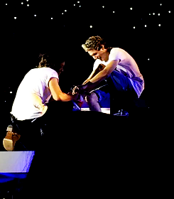 fyonedirection:  harry tying and kissing niall’s shoe | houston 