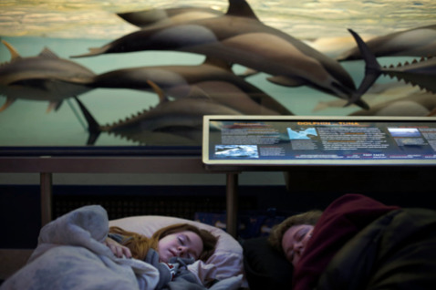hollybailey:  Scenes from the first adults-only sleepover at the Museum of Natural