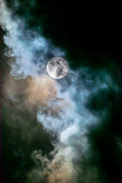 earthyday:  Moon and sky x Laila Ingvaldsen