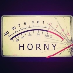 picsnvids:  OH YEAH! My Horny meter says