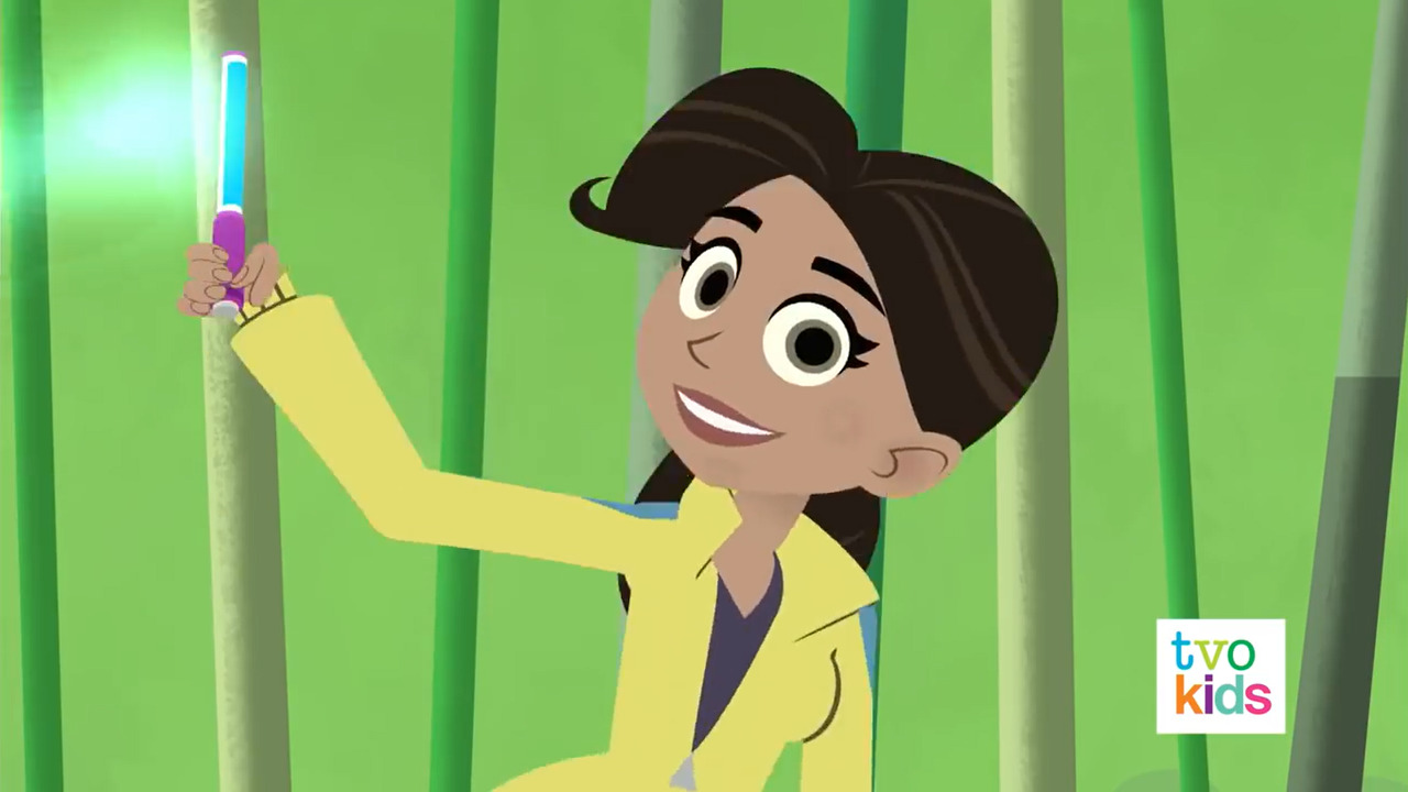 Wild Kratts Aviva Corcovado Wild Kratts Aviva Corcovado