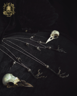occvlta:  Auspice necklaces back in Store. All praise the death messenger and omen bringer. 