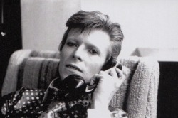 bowie-pills:  Hello Hello!  Calling to say