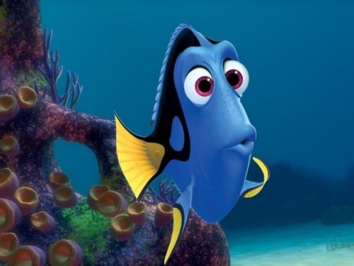 Dory (Finding Nemo) is a lesbian with short term memory loss.- submitted by @ohfugecannada