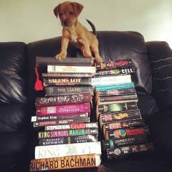 bookporn:  nerdigirlbooks:  I was tagged