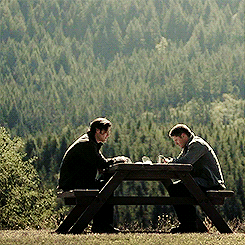 out-in-the-open:  Best Winchester Brotherly