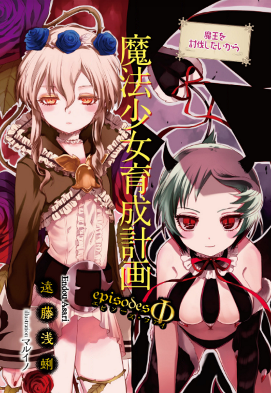 Mahou Shoujo Ikusei Keikaku: Breakdown - Novel Updates