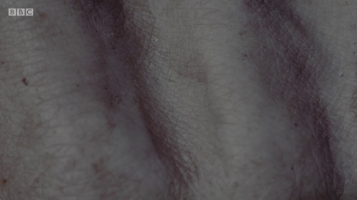 the human body // icelandic landscapes (from Ófærð &ldquo;Trapped&rdquo; (2