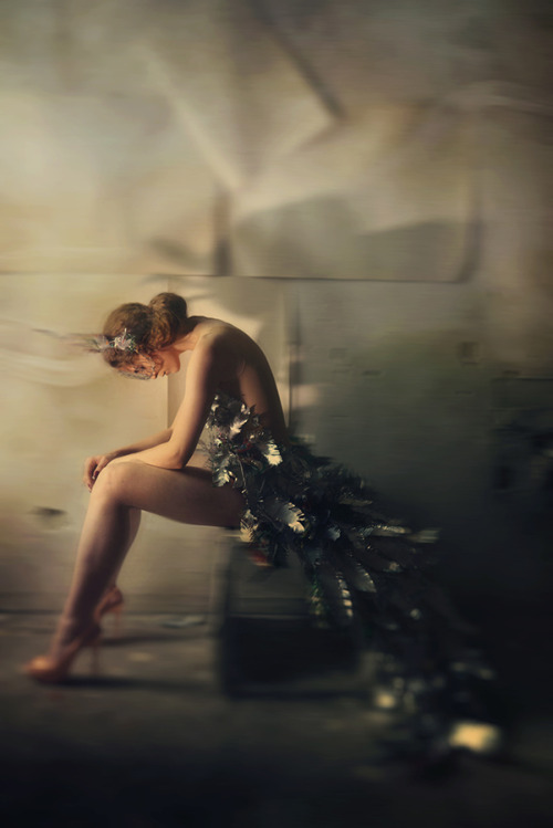 imickeyd:  Cristina Venedict - IRONic Feathers