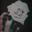 blissfullblankslate