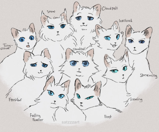 Drawing warrior cats inspired by real cats, part 1 of ?? Feel free to post  name ideas c: : r/WarriorCats