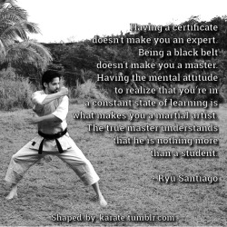 shaped-by-karate:  There are no masters, only students. 