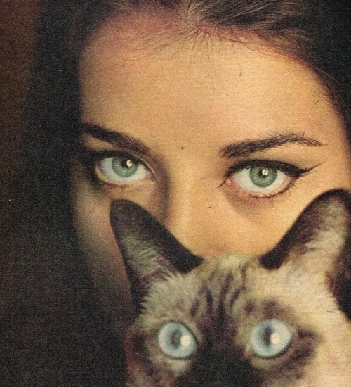 goldenbuttonsnpearls:Almay Cosmetics Ad from 1960s (my scan and edit)