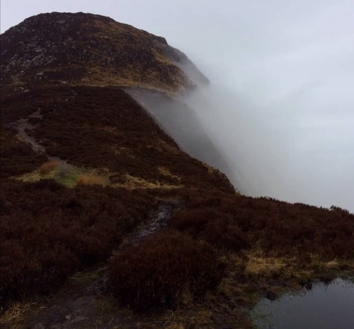 Holy Isle, keeping the sea mist at bay. #holyisle #sea #seamist #scotland #arran #hillwalking #hillw