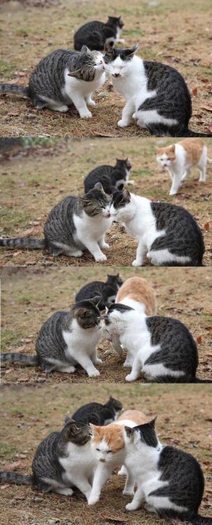 http://kikegalleta.tumblr.com/post/110299929160