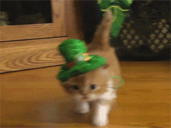 caterville:  St Kitty Being Irish and all