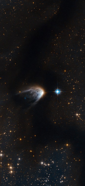 cosmicvastness: A golden veil cloaks a newborn starThis young star is breaking out. Like a hatchling