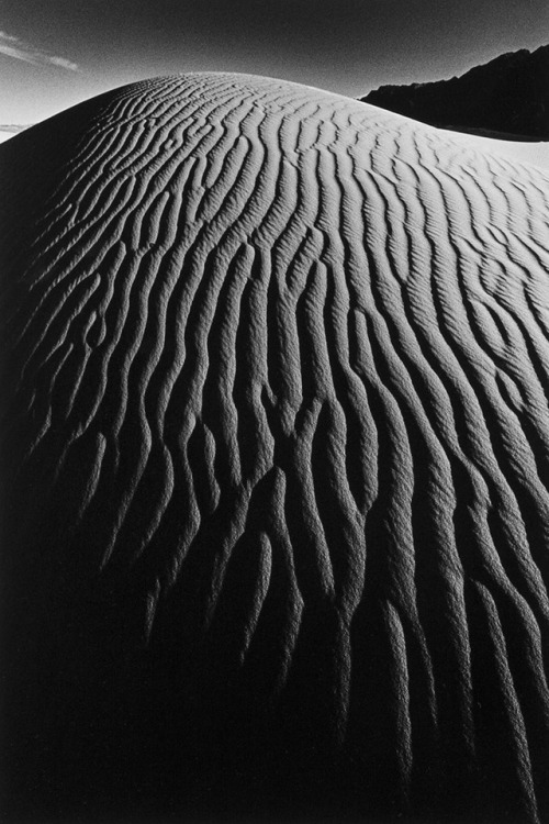Porn photo nevver:  Shadow Lines, Jeanloup Sieff 
