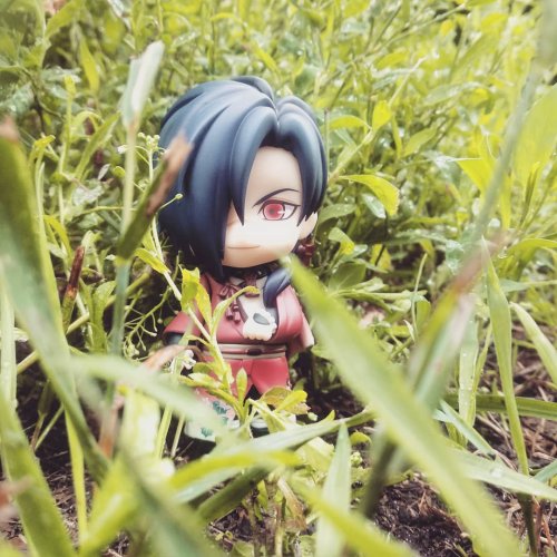 Some of my photos with DMMD figures ~My instagram