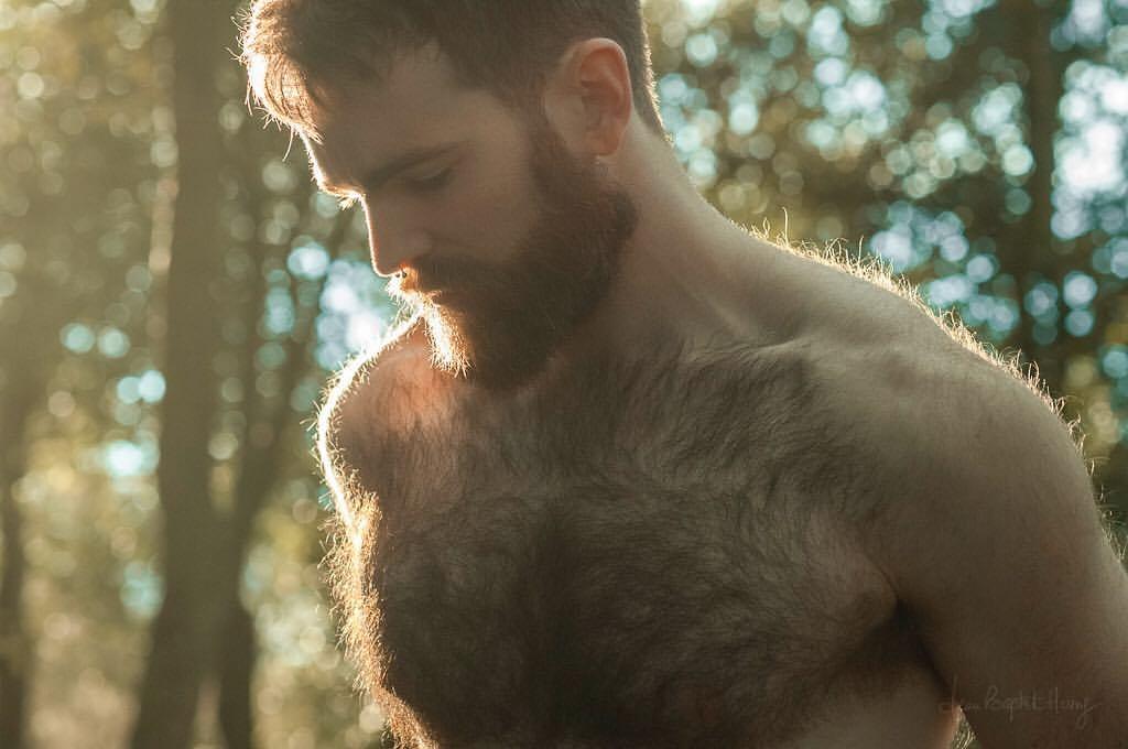 cubinabearbody:Purdy