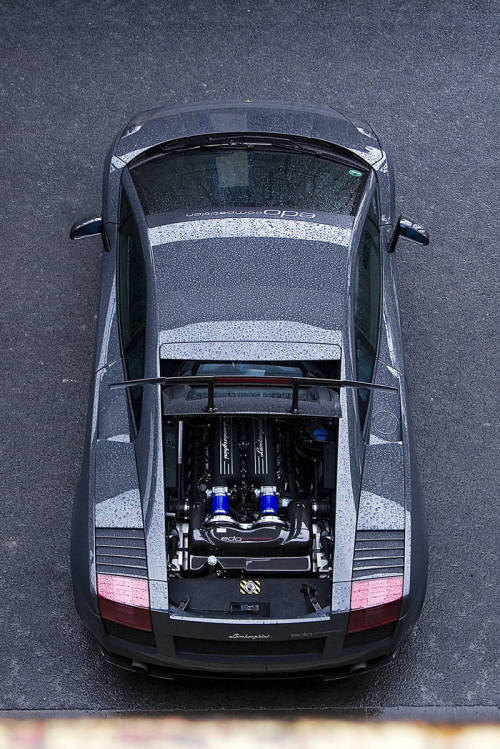 wearevanity:  Lamborghini Gallardo Superleggera