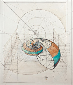 iron-and-wind:  The Golden Ratio 