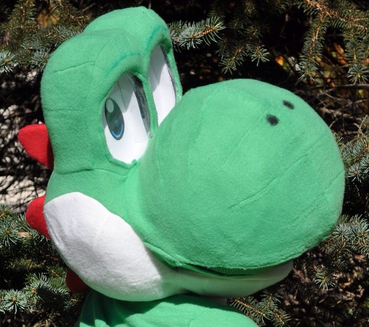germ-man:  9 Best Pictures of Yoshi 