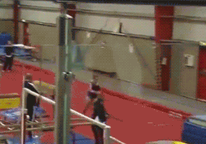 funnygifs-funnygifs-funnygifs:   ———————- Twitter - Instagram - Facebook