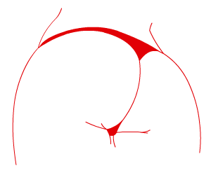 American Apparel Models, nude arts & red lines