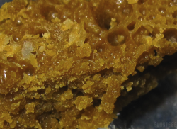 bluntess:  honeycomb 