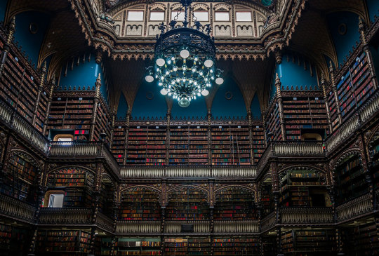 The Most Majestic Libraries In The World