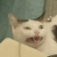 colferghost