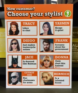 obviousplant:Choose your stylist