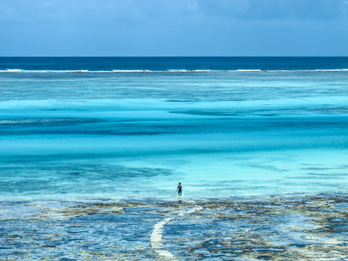 eboleno: Zanzibar, Tanzania | One LoBe