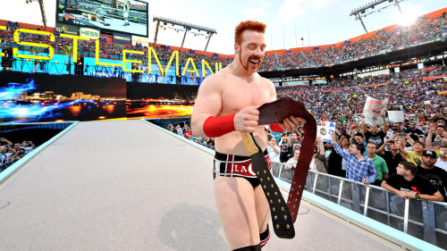 fishbulbsuplex:  World Heavyweight Champion Sheamus